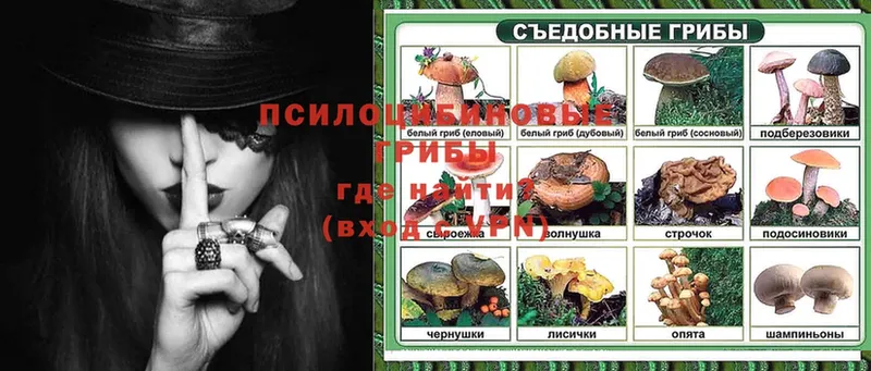 Псилоцибиновые грибы Cubensis  Бобров 